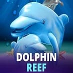 Dolphin Reef thumbnail